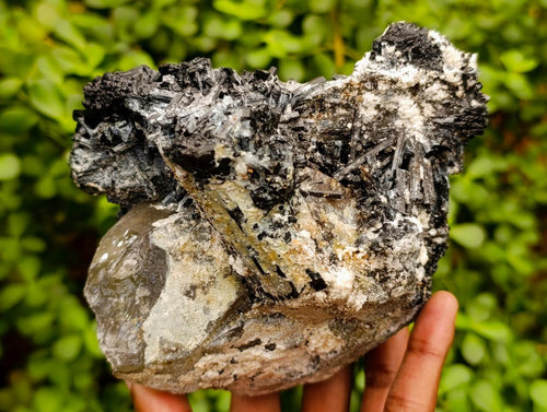 Natural Large Schorl Black Tourmaline with Smokey Quartz x 1 From Erongo, Namibia - Toprock Gemstones and Minerals 