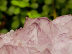 Natural Cactus Flower Amethyst Spirit Quartz Clusters x 4 From South Africa - Toprock Gemstones and Minerals 