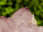 Natural Cactus Flower Amethyst Spirit Quartz Clusters x 4 From South Africa - Toprock Gemstones and Minerals 