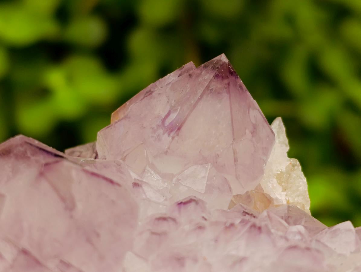 Natural Cactus Flower Amethyst Spirit Quartz Clusters x 4 From South Africa - Toprock Gemstones and Minerals 