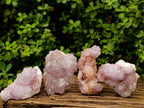Natural Cactus Flower Amethyst Spirit Quartz Clusters x 4 From South Africa - Toprock Gemstones and Minerals 