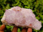 Natural Cactus Flower Amethyst Spirit Quartz Clusters x 4 From South Africa - Toprock Gemstones and Minerals 