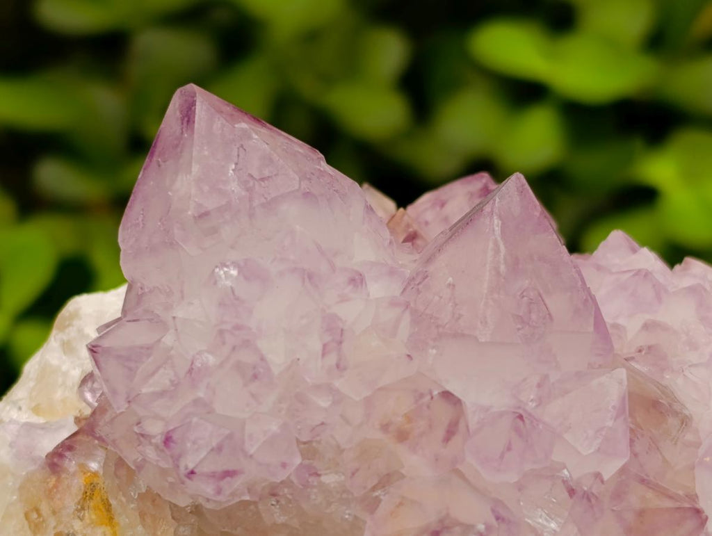 Natural Cactus Flower Amethyst Spirit Quartz Clusters x 4 From South Africa - Toprock Gemstones and Minerals 