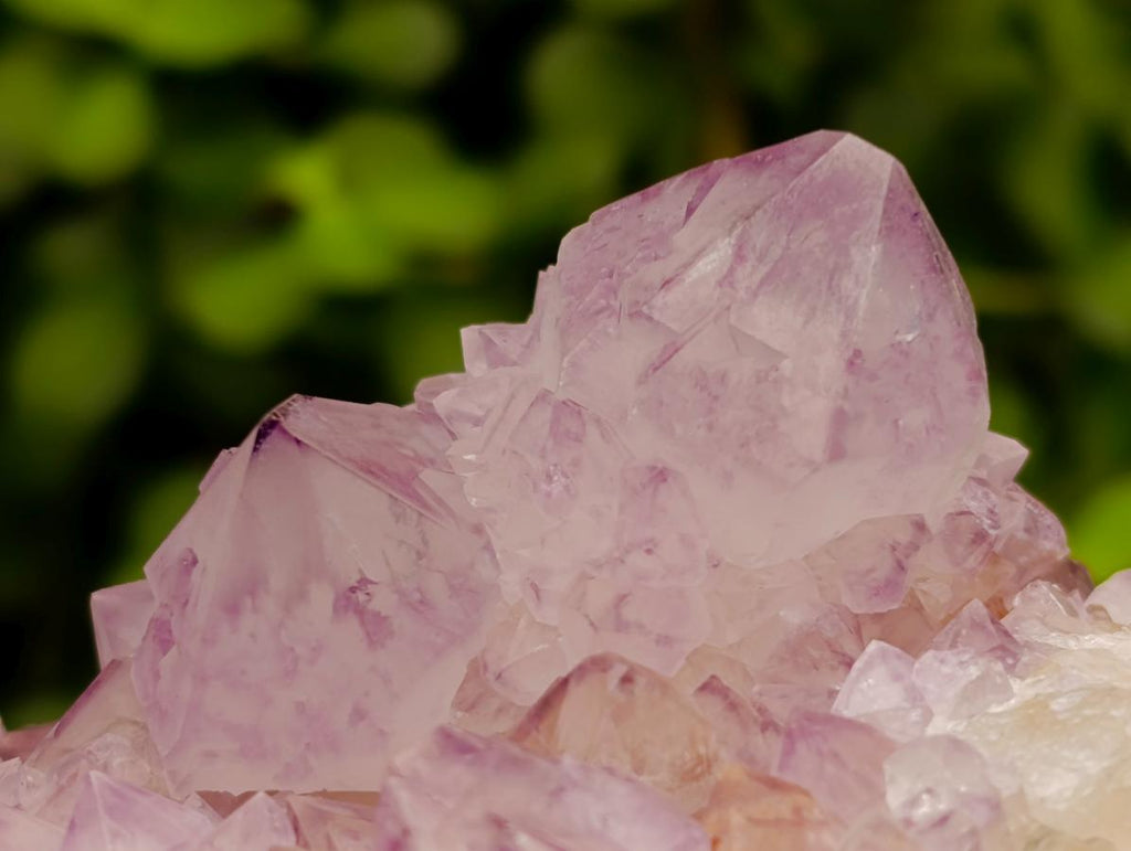 Natural Cactus Flower Amethyst Spirit Quartz Clusters x 4 From South Africa - Toprock Gemstones and Minerals 
