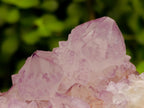 Natural Cactus Flower Amethyst Spirit Quartz Clusters x 4 From South Africa - Toprock Gemstones and Minerals 
