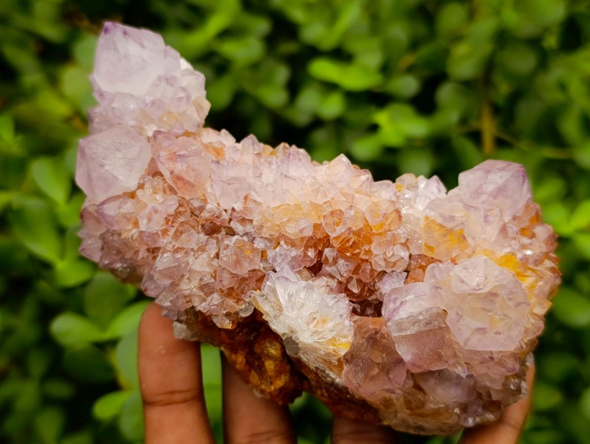 Natural Cactus Flower Amethyst Spirit Quartz Clusters x 4 From South Africa - Toprock Gemstones and Minerals 