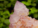 Natural Cactus Flower Amethyst Spirit Quartz Clusters x 4 From South Africa - Toprock Gemstones and Minerals 