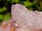 Natural Cactus Flower Amethyst Spirit Quartz Clusters x 4 From South Africa - Toprock Gemstones and Minerals 