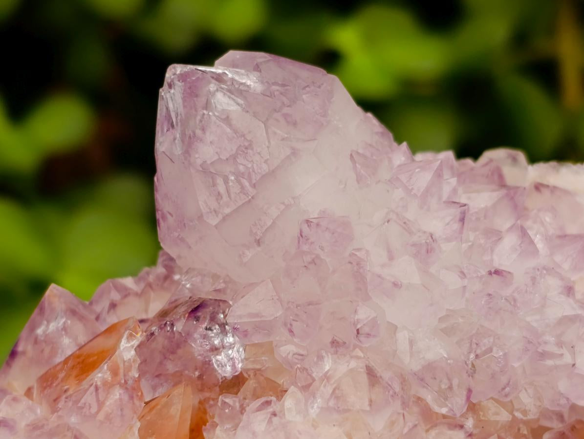 Natural Cactus Flower Amethyst Spirit Quartz Clusters x 4 From South Africa - Toprock Gemstones and Minerals 