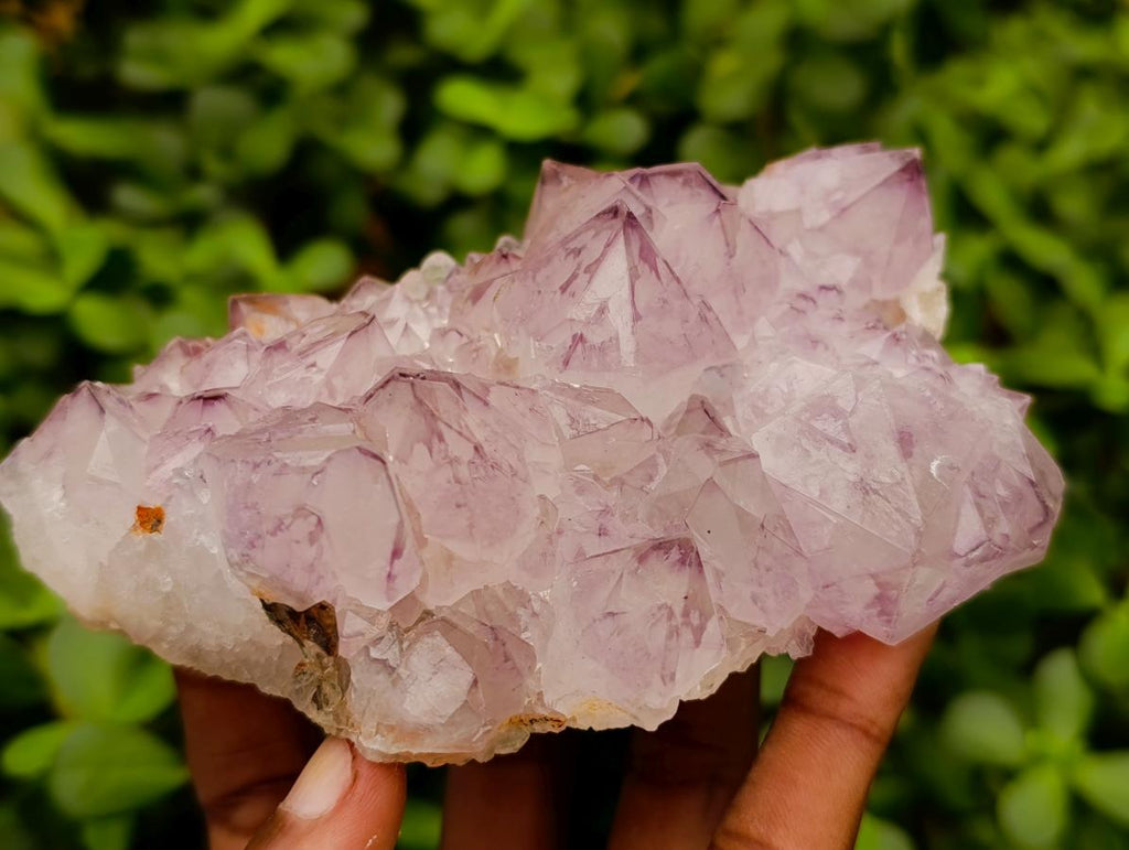 Natural Cactus Flower Amethyst Spirit Quartz Clusters x 4 From South Africa - Toprock Gemstones and Minerals 