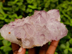 Natural Cactus Flower Amethyst Spirit Quartz Clusters x 4 From South Africa - Toprock Gemstones and Minerals 