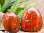 Polished Red Jasper Standing Free Forms x 6 From Madagascar - Toprock Gemstones and Minerals 