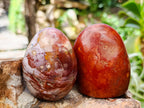 Polished Red Jasper Standing Free Forms x 6 From Madagascar - Toprock Gemstones and Minerals 
