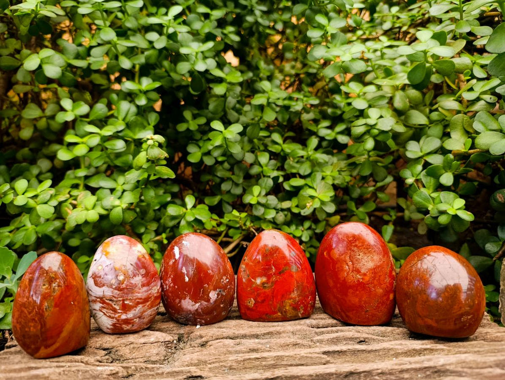 Polished Red Jasper Standing Free Forms x 6 From Madagascar - Toprock Gemstones and Minerals 