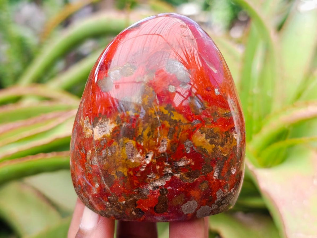 Polished Red Jasper Standing Free Forms x 6 From Madagascar - Toprock Gemstones and Minerals 