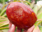 Polished Red Jasper Standing Free Forms x 6 From Madagascar - Toprock Gemstones and Minerals 