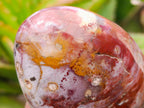 Polished Red Jasper Standing Free Forms x 6 From Madagascar - Toprock Gemstones and Minerals 