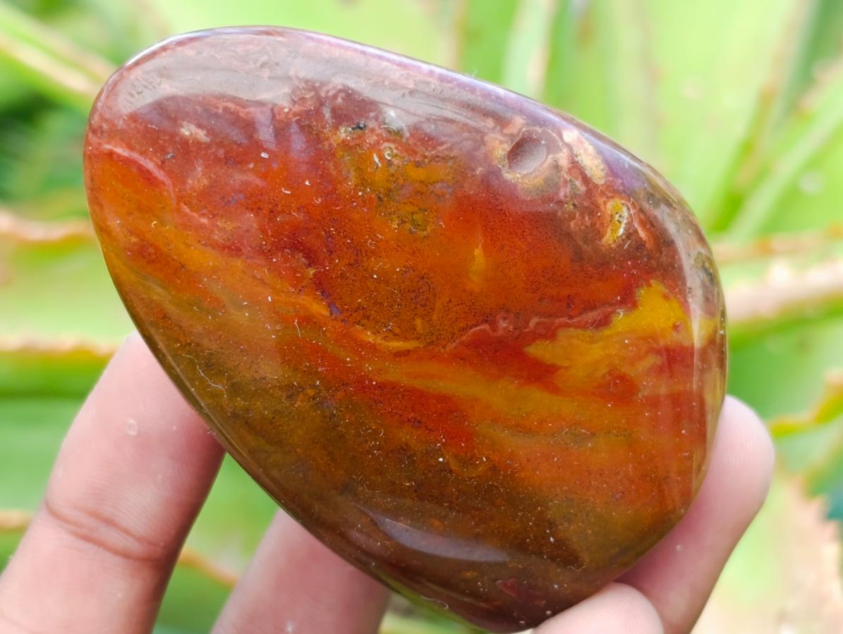 Polished Red Jasper Standing Free Forms x 6 From Madagascar - Toprock Gemstones and Minerals 
