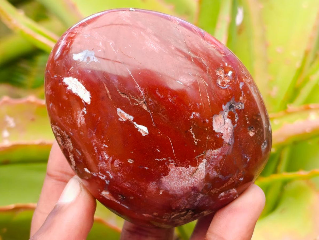 Polished Red Jasper Standing Free Forms x 6 From Madagascar - Toprock Gemstones and Minerals 