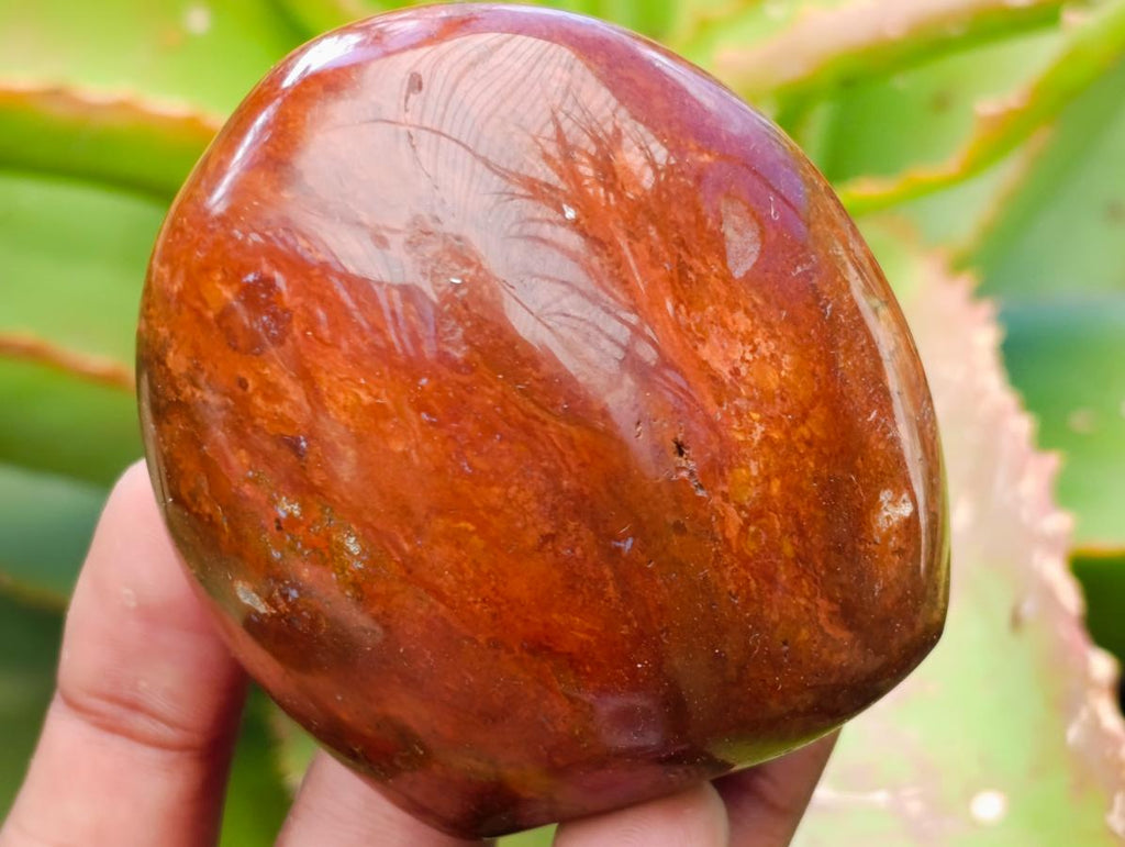 Polished Red Jasper Standing Free Forms x 6 From Madagascar - Toprock Gemstones and Minerals 
