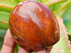 Polished Red Jasper Standing Free Forms x 6 From Madagascar - Toprock Gemstones and Minerals 
