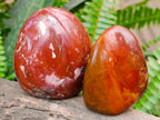 Polished Red Jasper Standing Free Forms x 6 From Madagascar - Toprock Gemstones and Minerals 