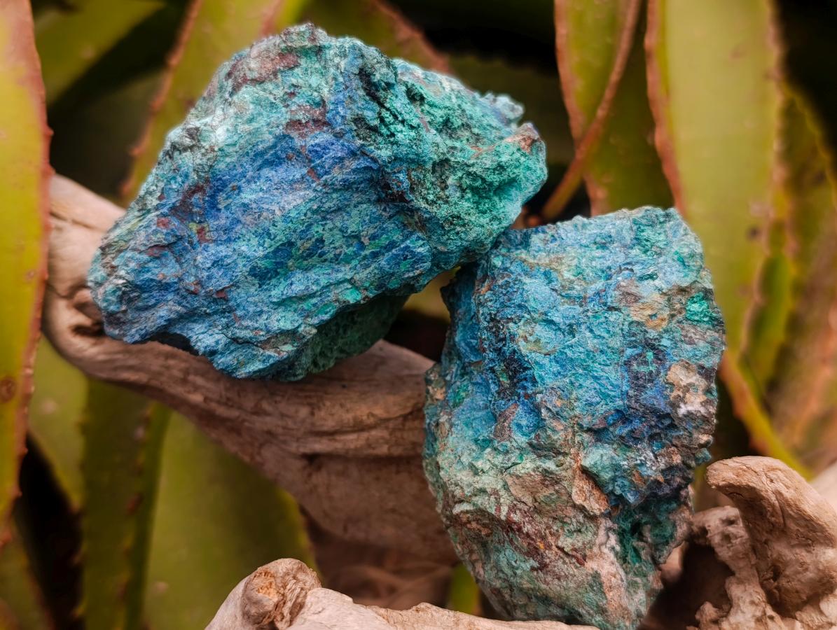 Natural Cobbed Shattuckite Specimens x 12 From Kaokoveld, Namibia - Toprock Gemstones and Minerals 