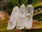 Natural Clear Quartz Crystals x 35 From Madagascar - Toprock Gemstones and Minerals 