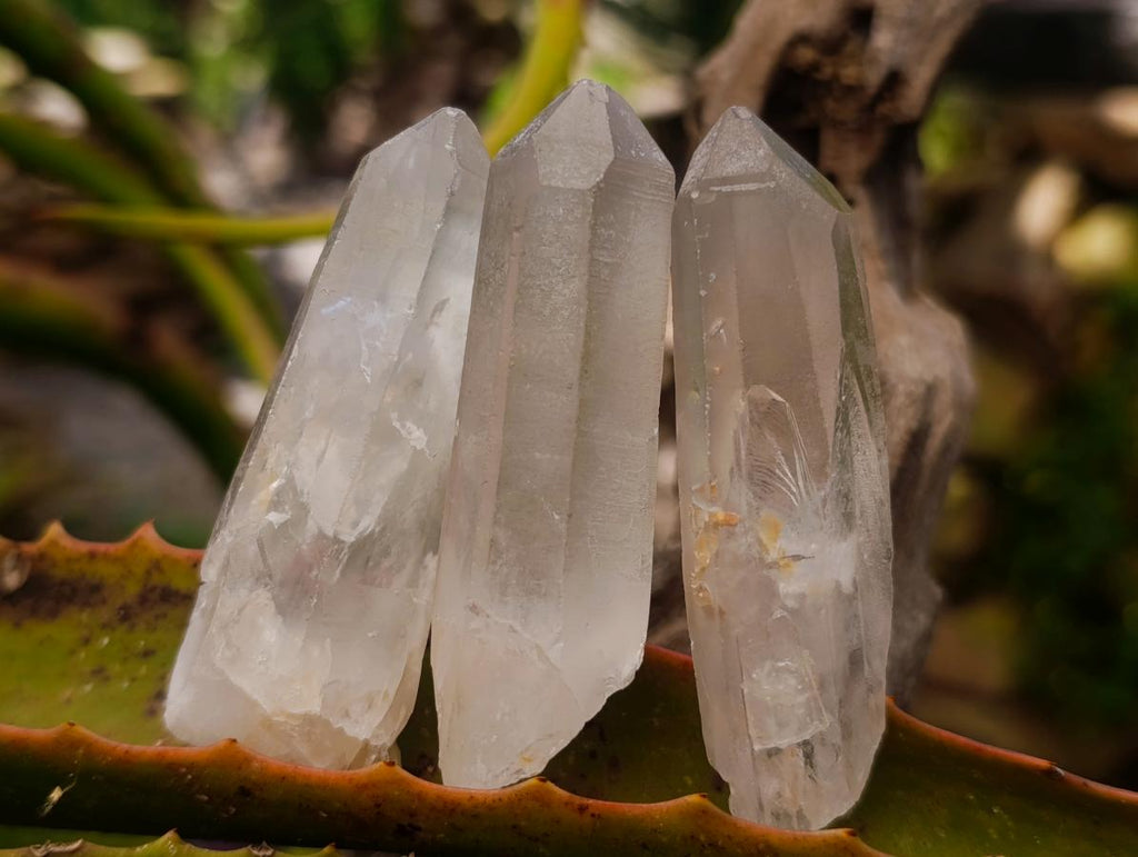 Natural Clear Quartz Crystals x 35 From Madagascar - Toprock Gemstones and Minerals 