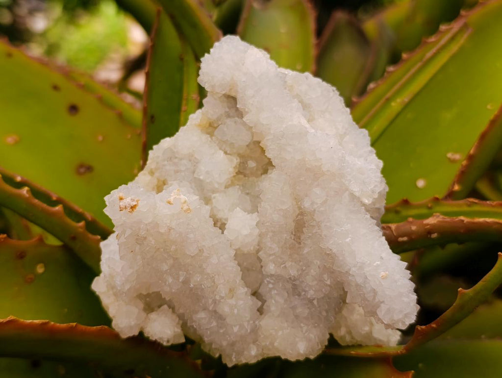 Natural Drusy Quartz Coated Calcite Pseudomorph Clusters x 4 From Albert's Mountain, Lesotho - Toprock Gemstones and Minerals 