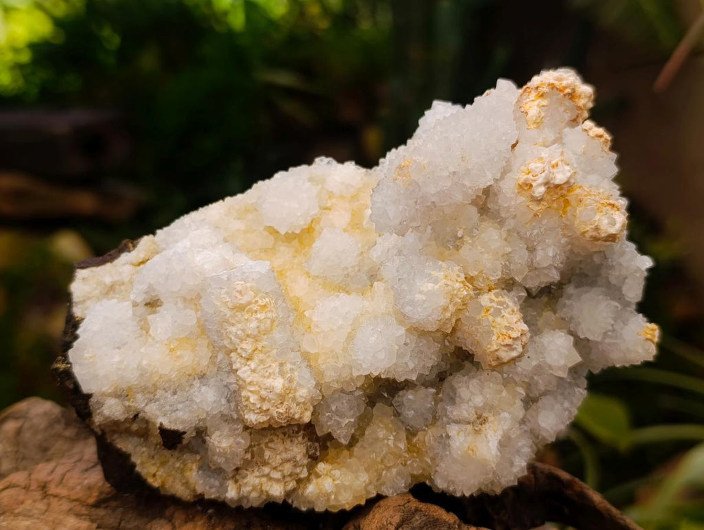 Natural Drusy Quartz Coated Calcite Pseudomorph Clusters x 4 From Albert's Mountain, Lesotho - Toprock Gemstones and Minerals 