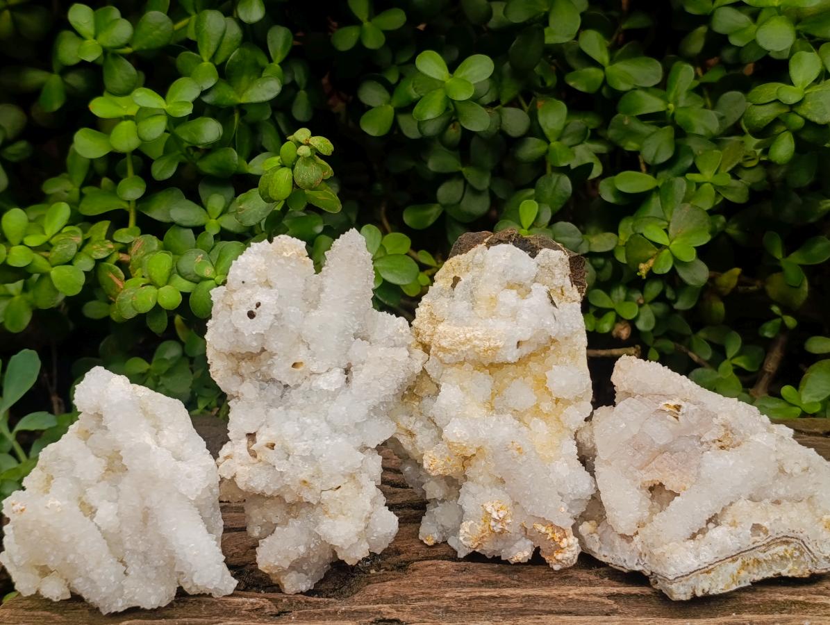 Natural Drusy Quartz Coated Calcite Pseudomorph Clusters x 4 From Albert's Mountain, Lesotho - Toprock Gemstones and Minerals 