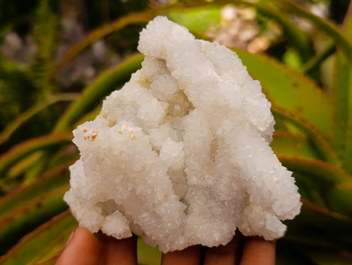 Natural Drusy Quartz Coated Calcite Pseudomorph Clusters x 4 From Albert's Mountain, Lesotho - Toprock Gemstones and Minerals 