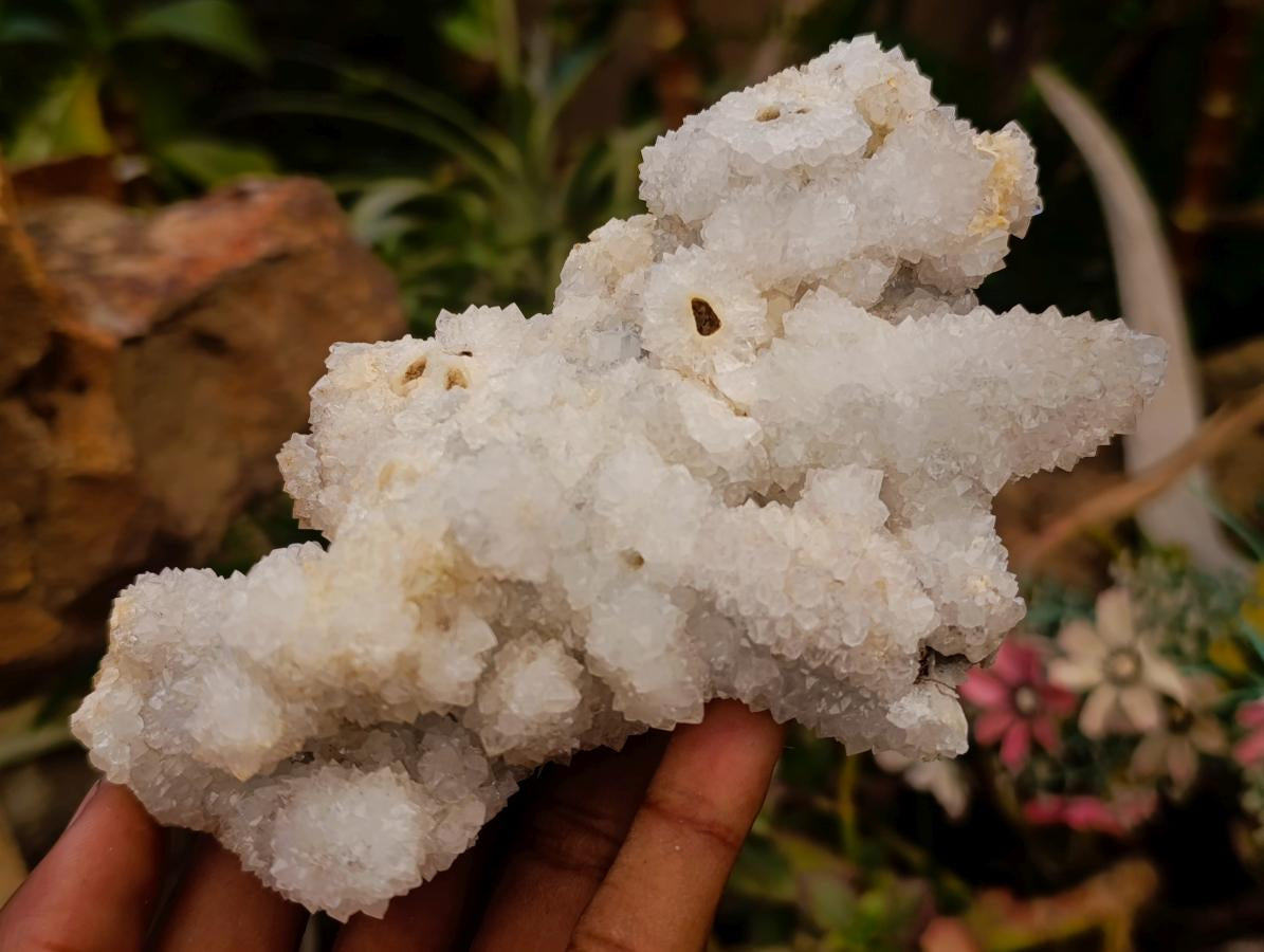 Natural Drusy Quartz Coated Calcite Pseudomorph Clusters x 4 From Albert's Mountain, Lesotho - Toprock Gemstones and Minerals 