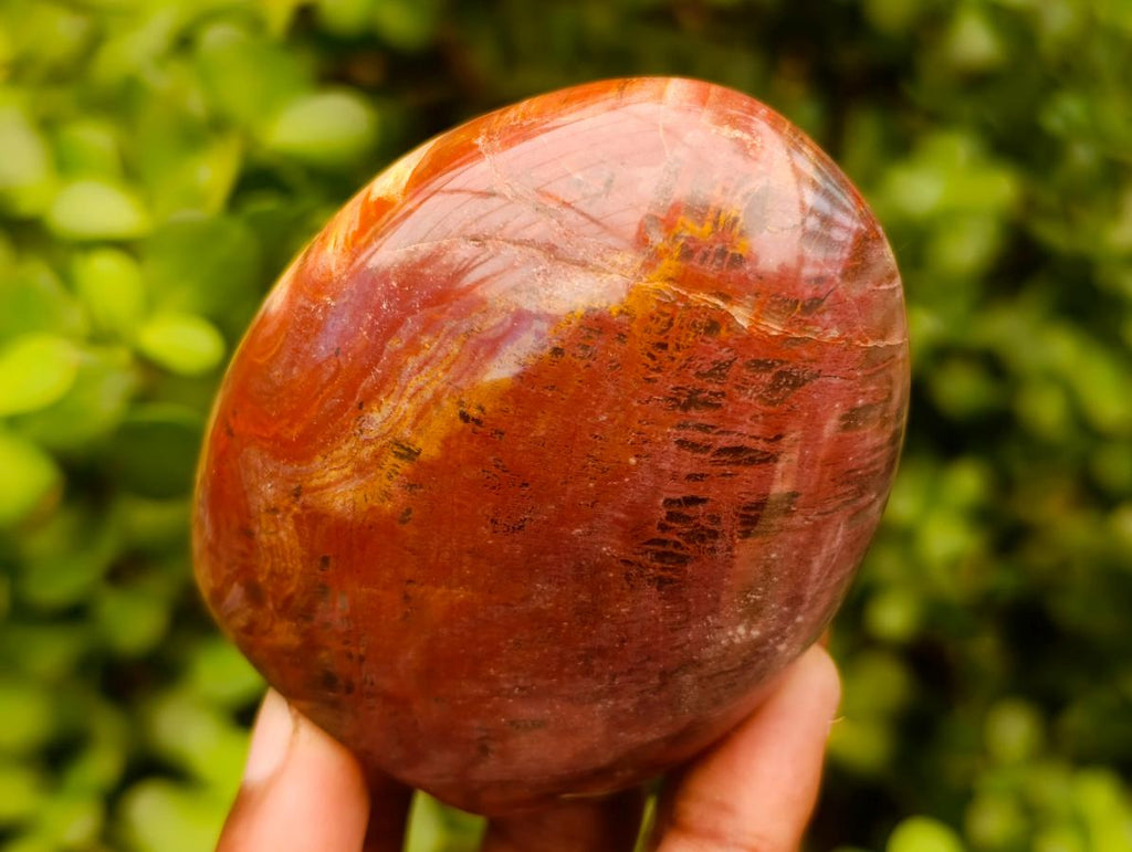 Polished Polychrome Jasper Standing Free Forms x 3 From NW Coast, Madagascar - Toprock Gemstones and Minerals 