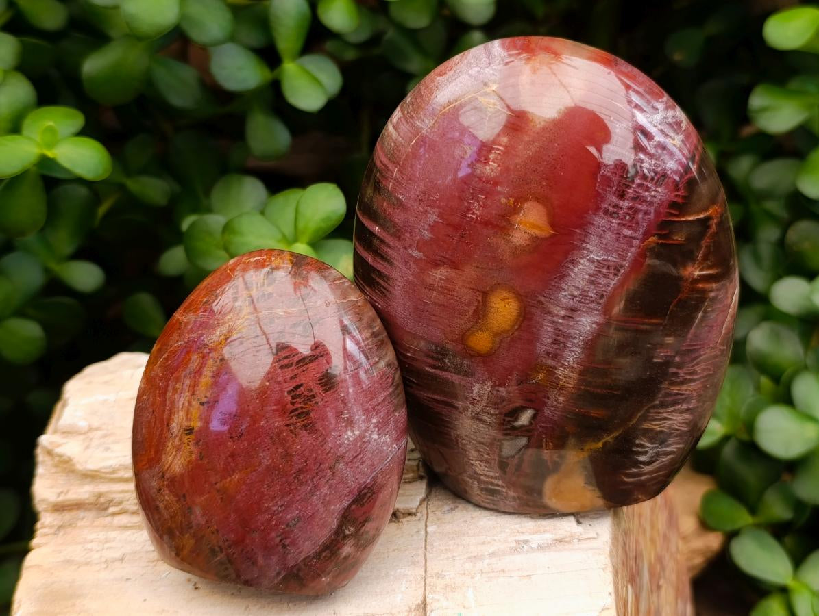 Polished Polychrome Jasper Standing Free Forms x 3 From NW Coast, Madagascar - Toprock Gemstones and Minerals 