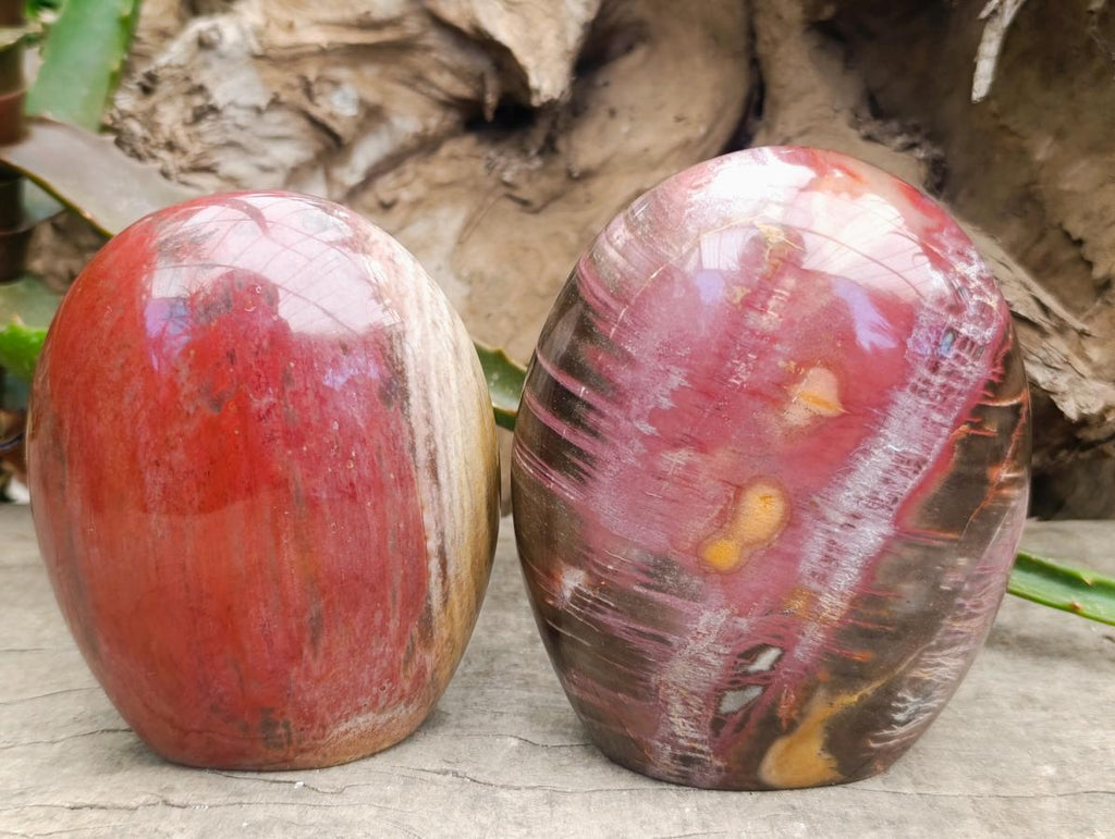 Polished Polychrome Jasper Standing Free Forms x 3 From NW Coast, Madagascar - Toprock Gemstones and Minerals 