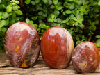 Polished Polychrome Jasper Standing Free Forms x 3 From NW Coast, Madagascar - Toprock Gemstones and Minerals 