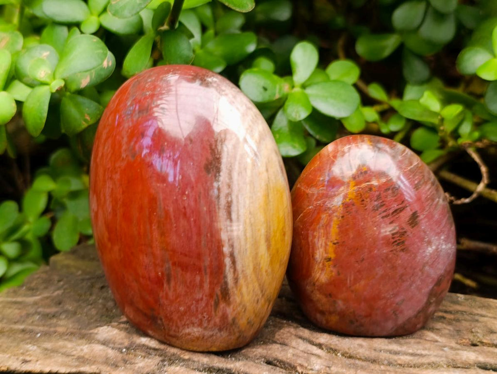 Polished Polychrome Jasper Standing Free Forms x 3 From NW Coast, Madagascar - Toprock Gemstones and Minerals 