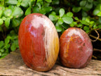 Polished Polychrome Jasper Standing Free Forms x 3 From NW Coast, Madagascar - Toprock Gemstones and Minerals 