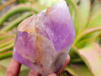 Polished Purple Chevron Amethyst Standing Free Forms and a Crystal x 4 From Madagascar - Toprock Gemstones and Minerals 