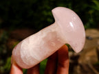 Polished Gemmy Rose Quartz Mushrooms x 3 From Madagascar - Toprock Gemstones and Minerals 