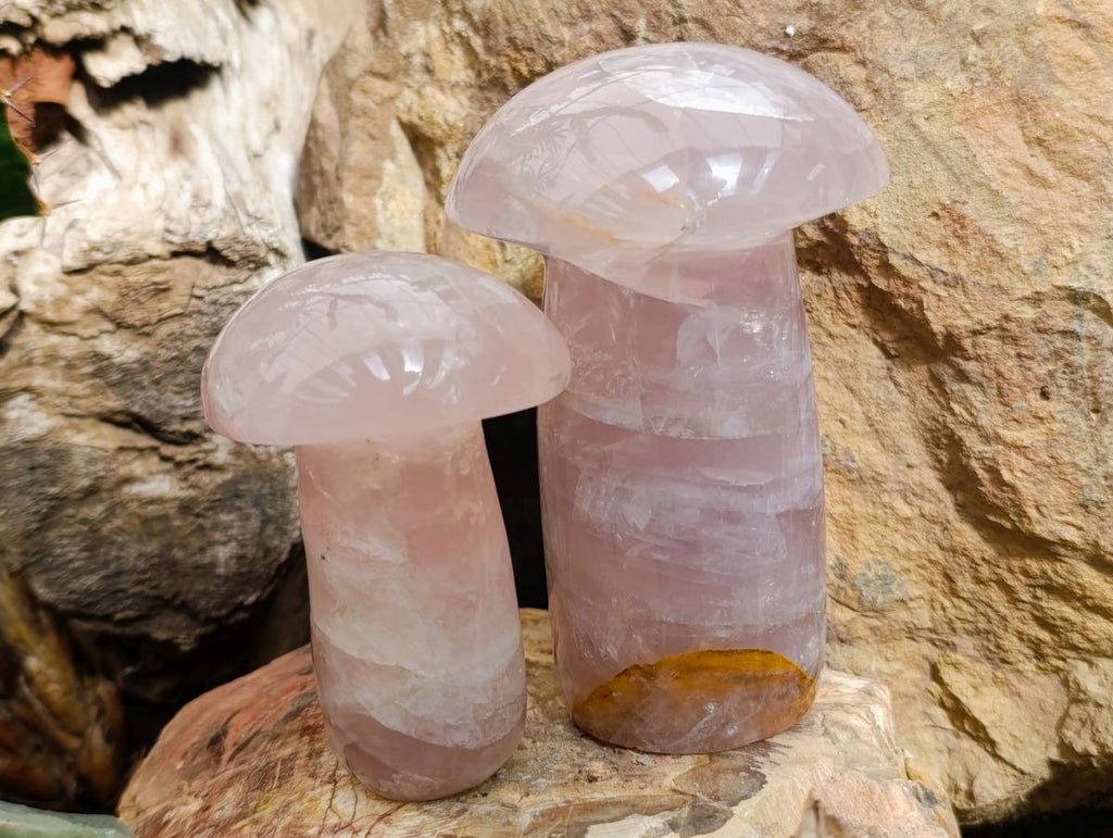 Polished Gemmy Rose Quartz Mushrooms x 3 From Madagascar - Toprock Gemstones and Minerals 
