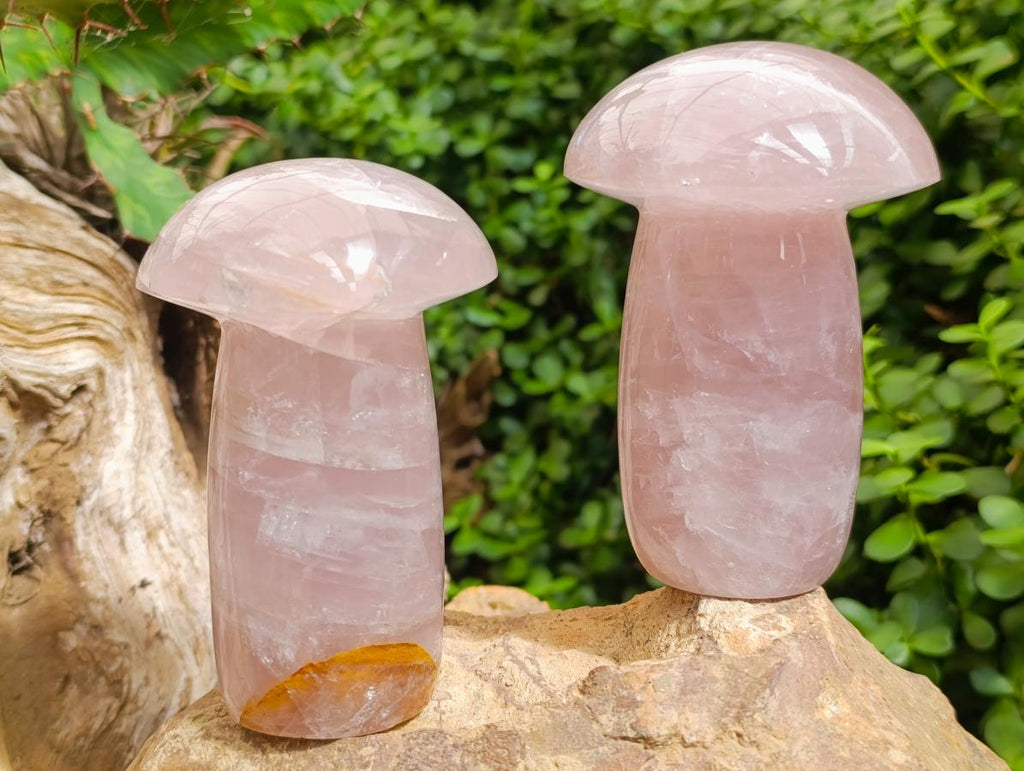 Polished Gemmy Rose Quartz Mushrooms x 3 From Madagascar - Toprock Gemstones and Minerals 