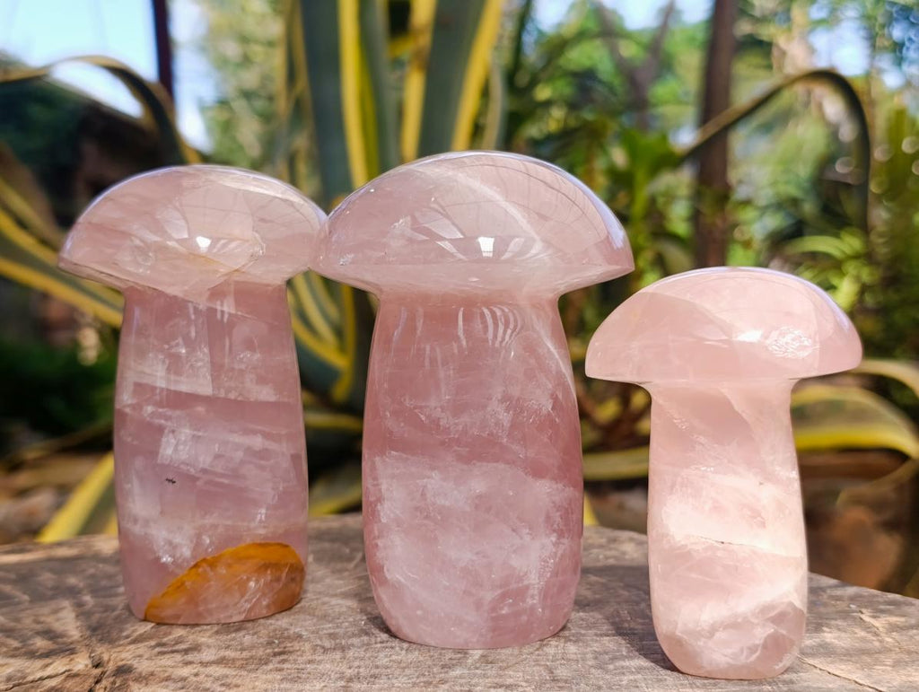 Polished Gemmy Rose Quartz Mushrooms x 3 From Madagascar - Toprock Gemstones and Minerals 