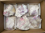 Natural Pink Rubellite Tourmaline Specimens x 6 From Karibib, Namibia - Toprock Gemstones and Minerals 