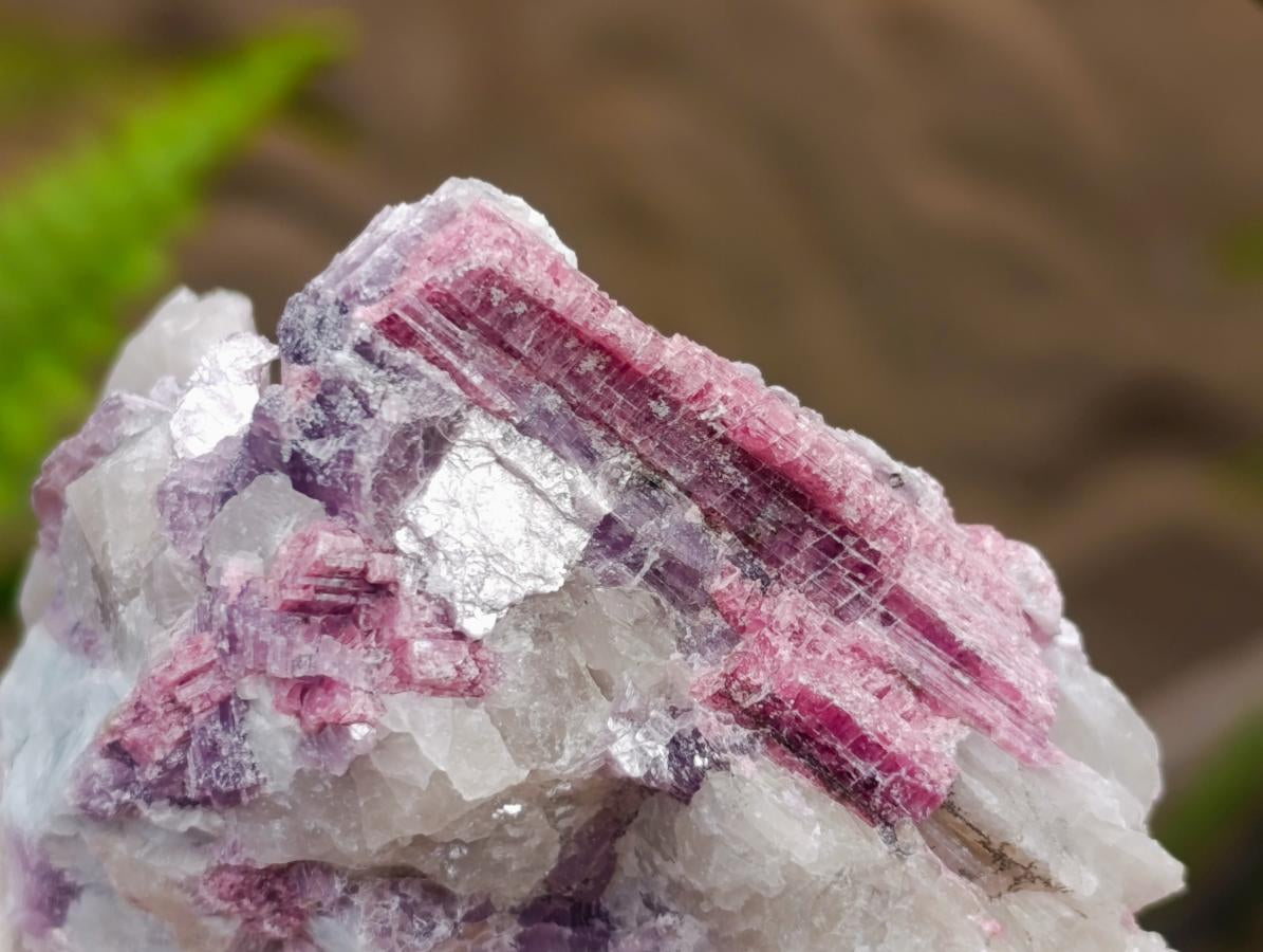 Natural Pink Rubellite Tourmaline Specimens x 6 From Karibib, Namibia - Toprock Gemstones and Minerals 