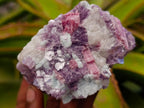 Natural Pink Rubellite Tourmaline Specimens x 6 From Karibib, Namibia - Toprock Gemstones and Minerals 
