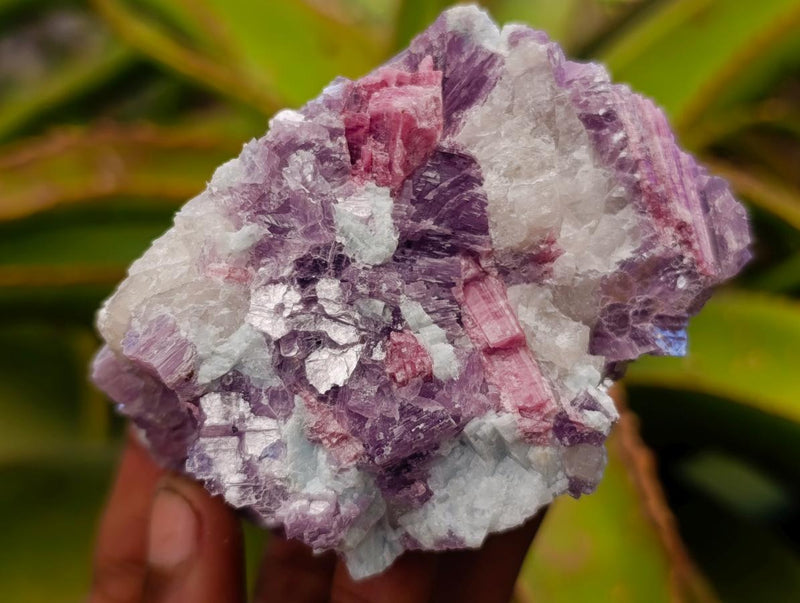 Natural Pink Rubellite Tourmaline Specimens x 6 From Karibib, Namibia - Toprock Gemstones and Minerals 