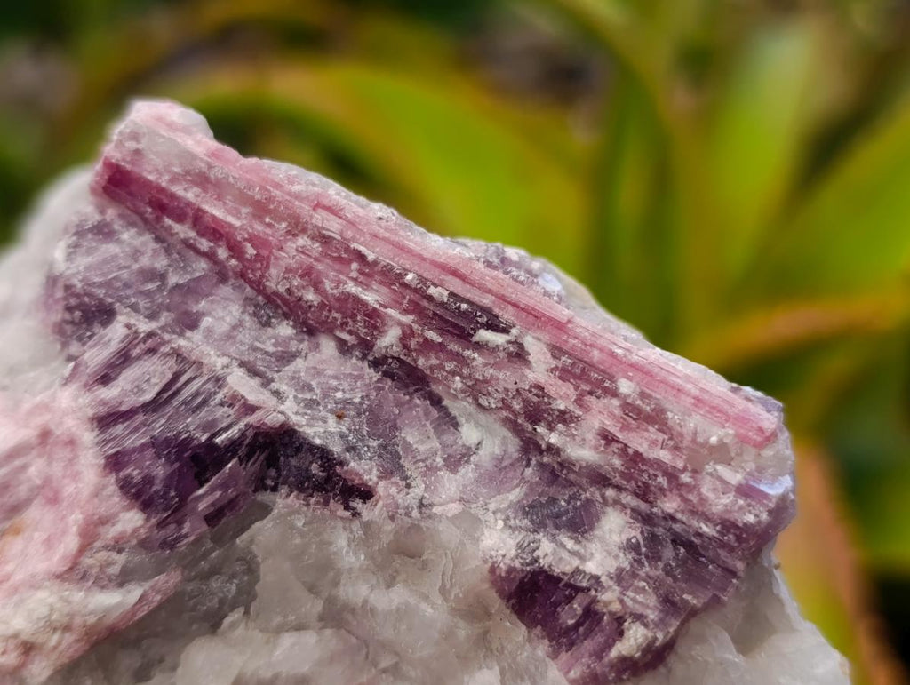 Natural Pink Rubellite Tourmaline Specimens x 6 From Karibib, Namibia - Toprock Gemstones and Minerals 